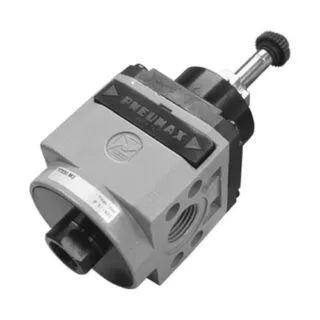 pnematic1